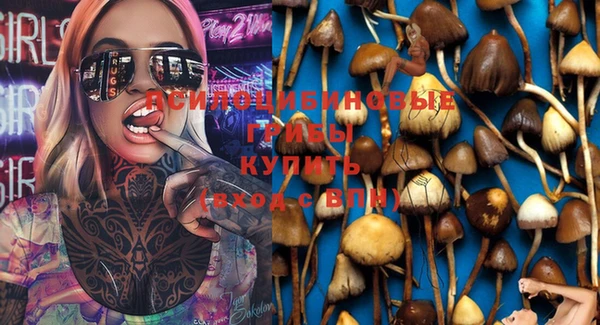 мет Абинск