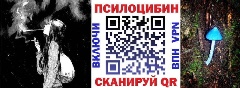 сколько стоит  Злынка  Псилоцибиновые грибы Cubensis 